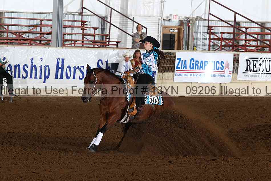 Proof 13yn_09206