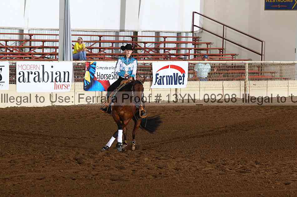 Proof 13yn_09208