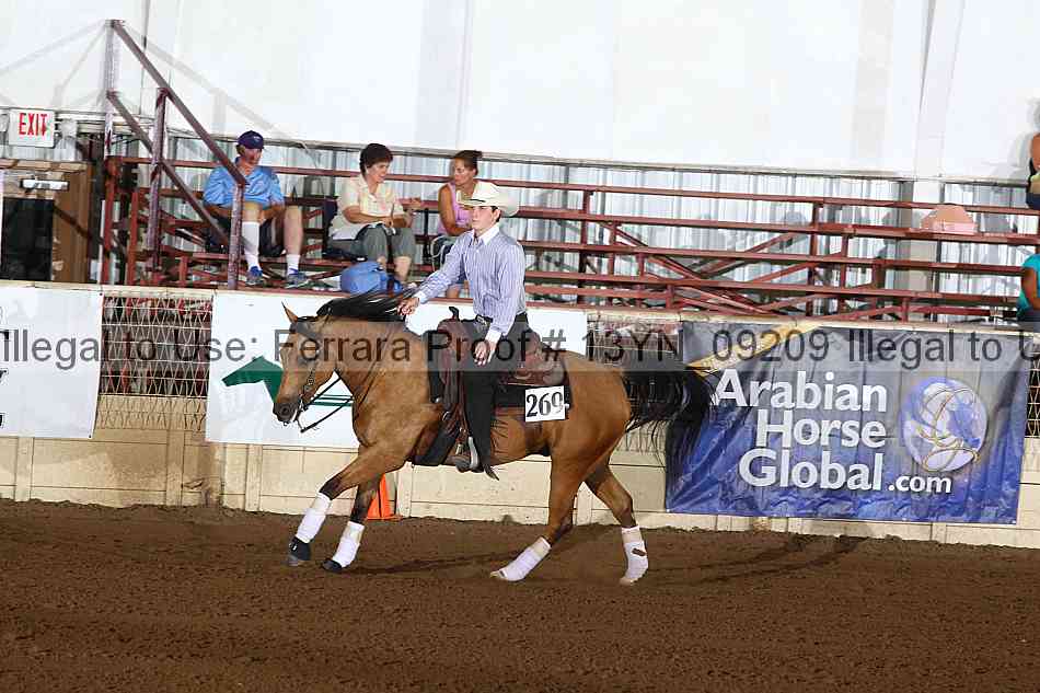 Proof 13yn_09209