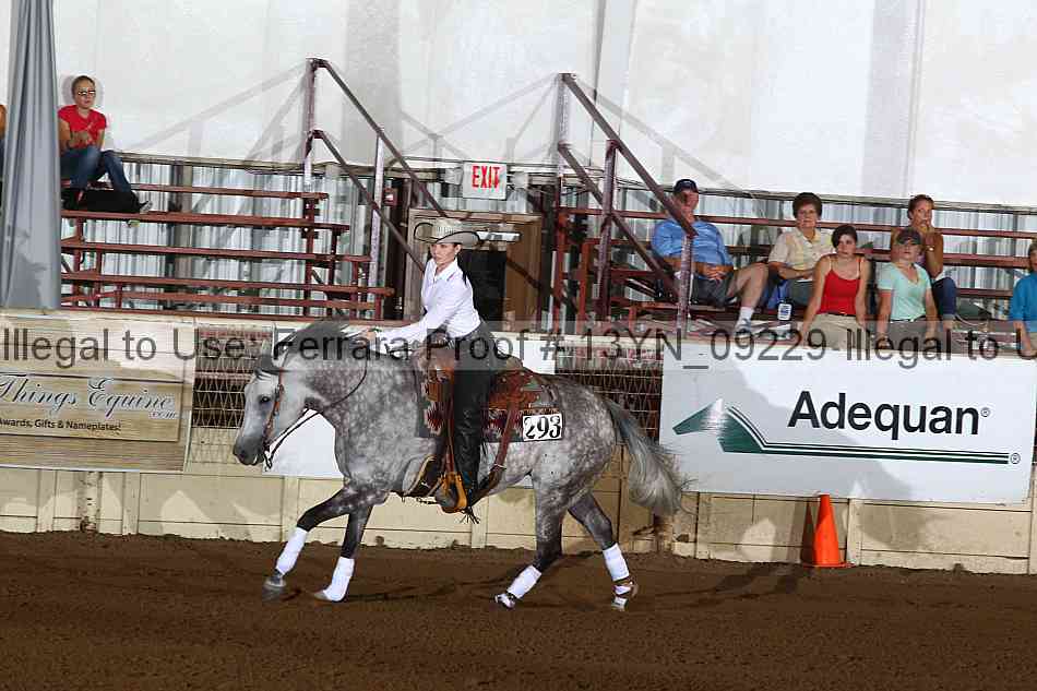Proof 13yn_09229
