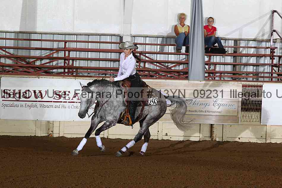 Proof 13yn_09231