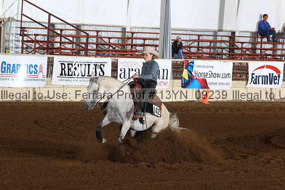 Proof 13yn_09239