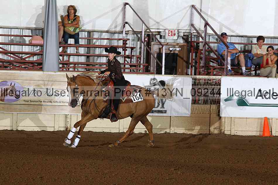 Proof 13yn_09244