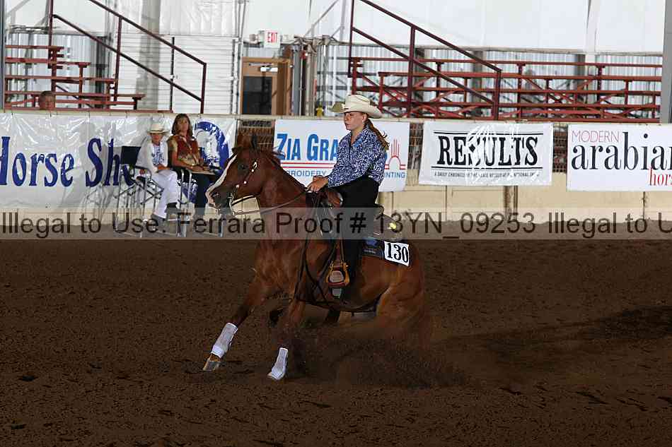 Proof 13yn_09253