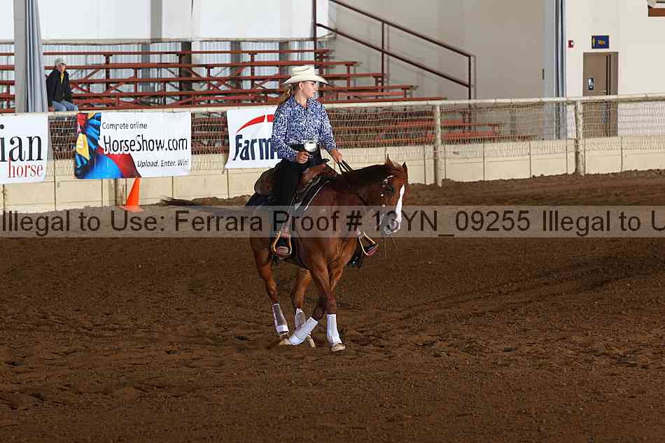 Proof 13yn_09255