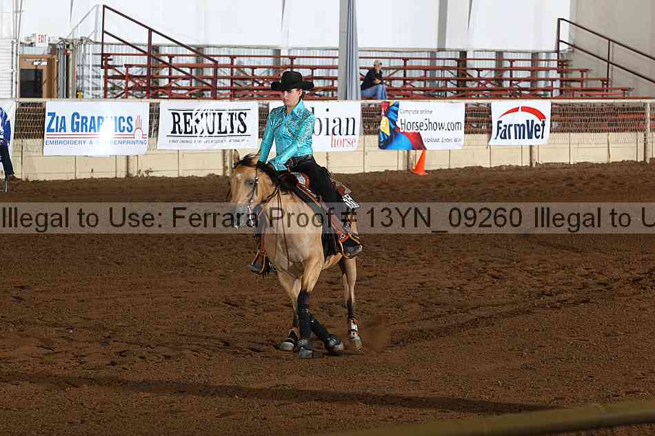 Proof 13yn_09260