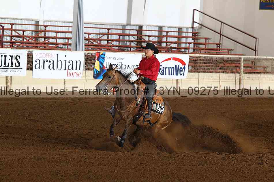 Proof 13yn_09275
