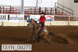 13yn_09275 proof