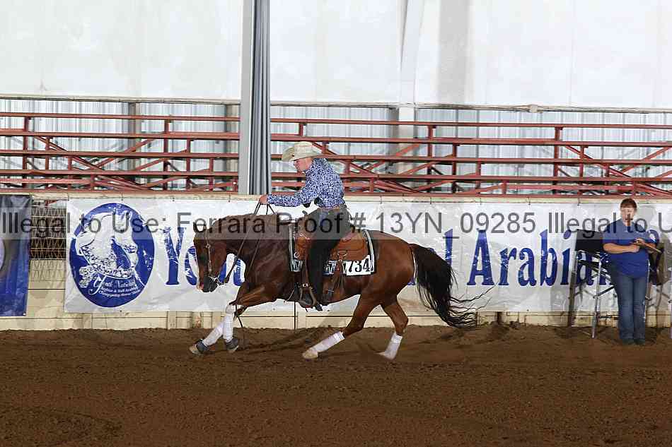 Proof 13yn_09285