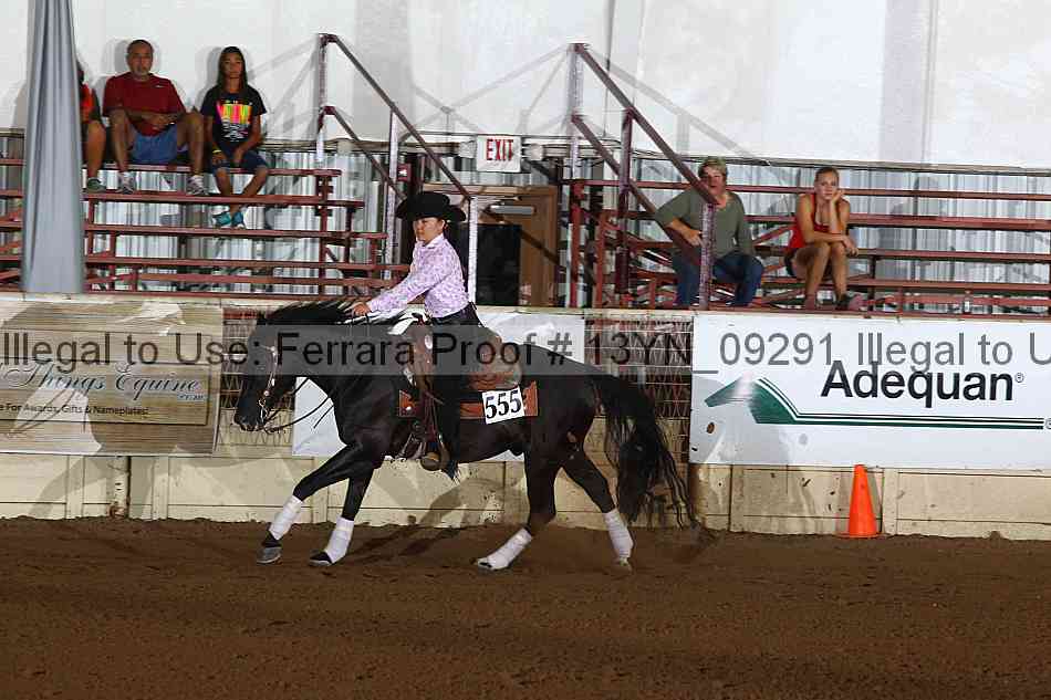 Proof 13yn_09291
