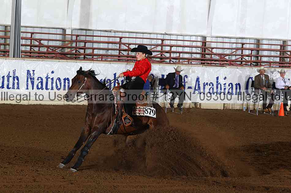 Proof 13yn_09300