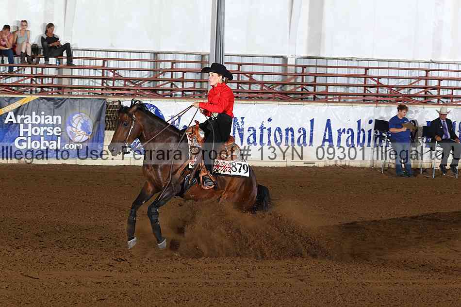 Proof 13yn_09301