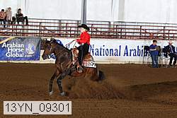 13yn_09301 proof