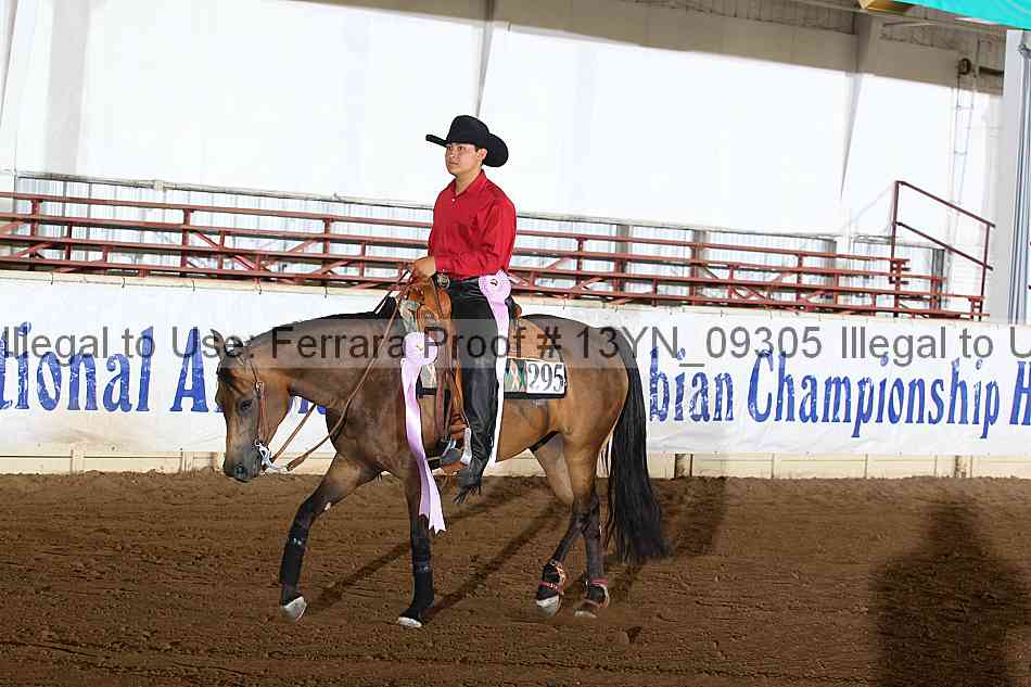 Proof 13yn_09305