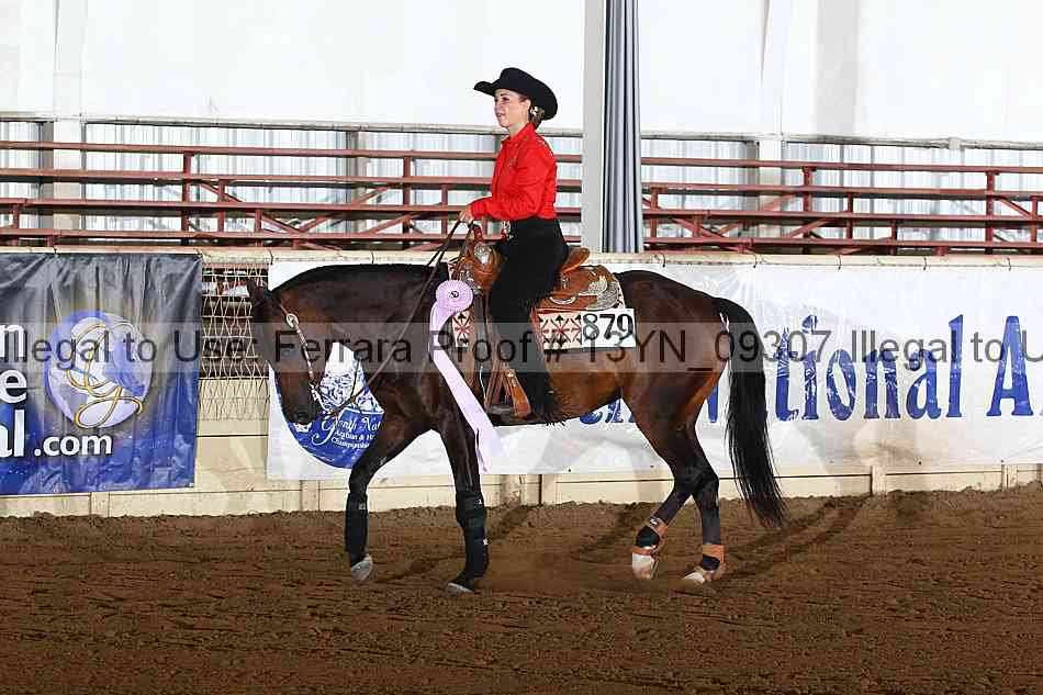 Proof 13yn_09307