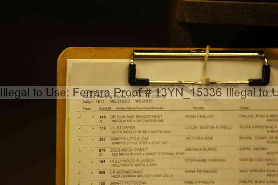 Proof 13yn_15336