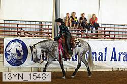 13yn_15481 proof