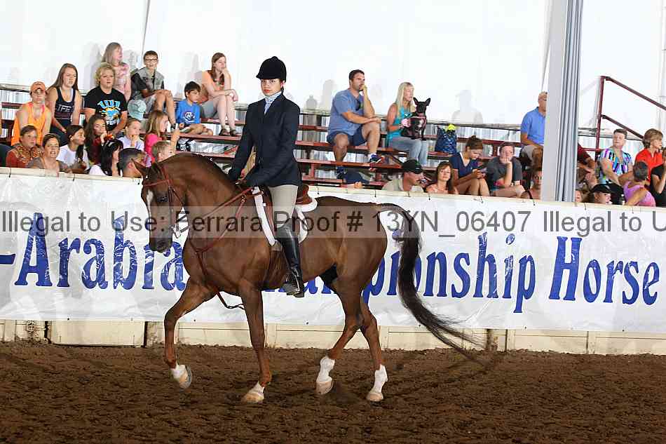 Proof 13yn_06407