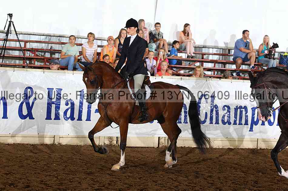 Proof 13yn_06409