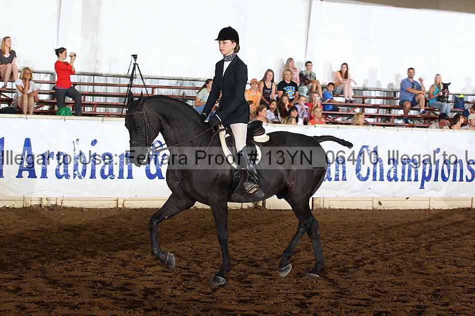 Proof 13yn_06410