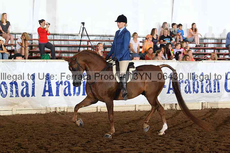 Proof 13yn_06430