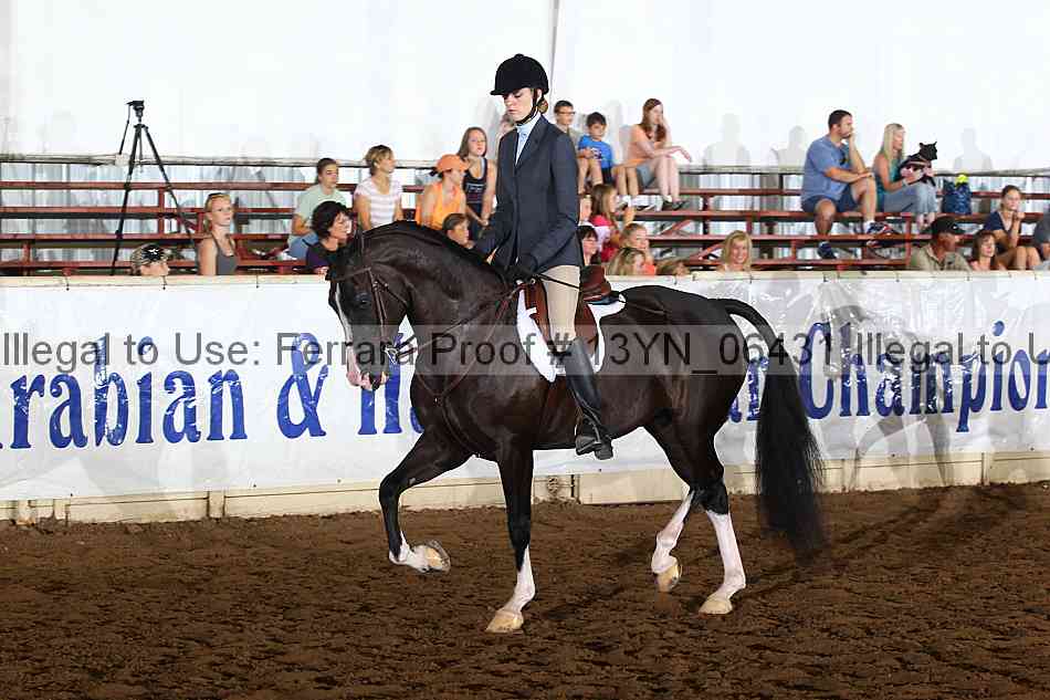 Proof 13yn_06431
