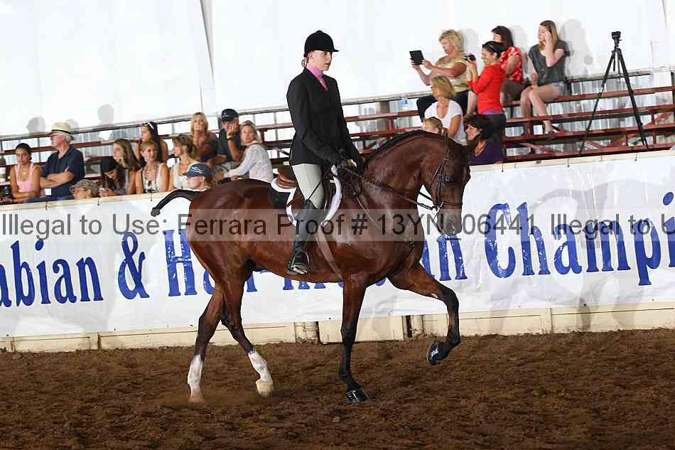 Proof 13yn_06441