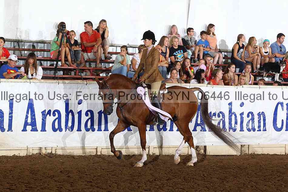 Proof 13yn_06446