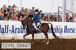 13yn_06447 proof