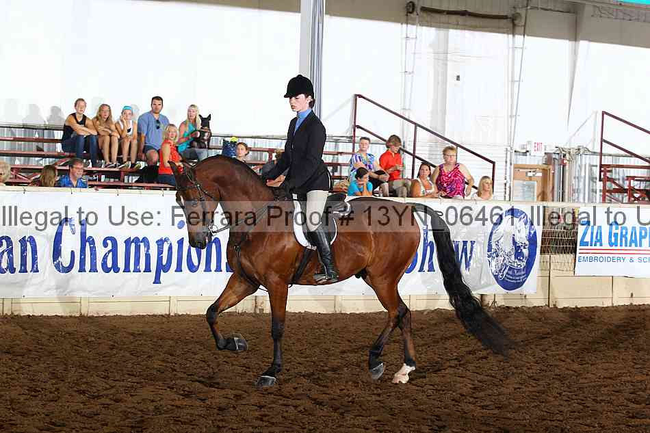 Proof 13yn_06461