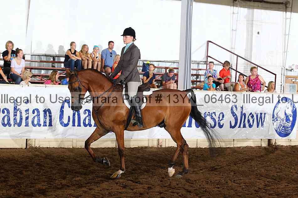Proof 13yn_06463