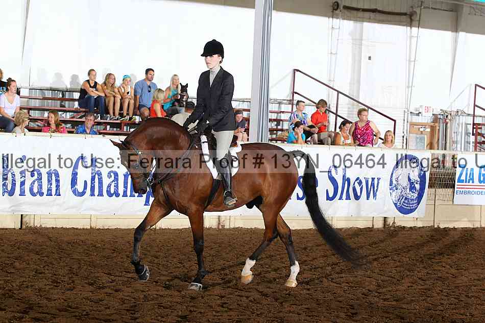 Proof 13yn_06464