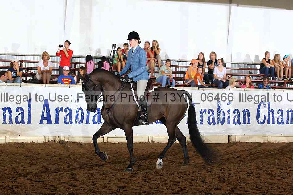 Proof 13yn_06466