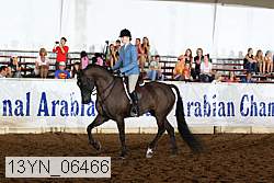 13yn_06466 proof