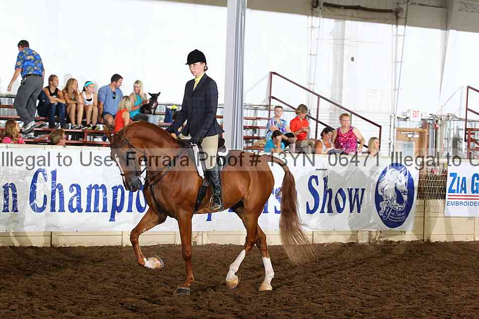 Proof 13yn_06471