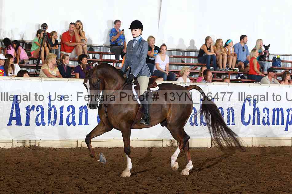 Proof 13yn_06477