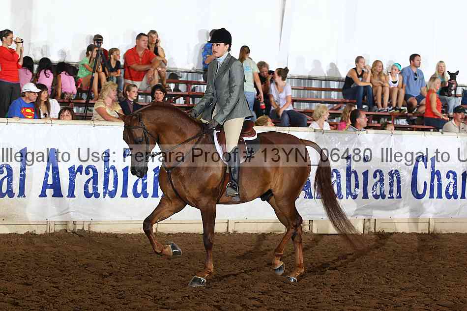Proof 13yn_06480