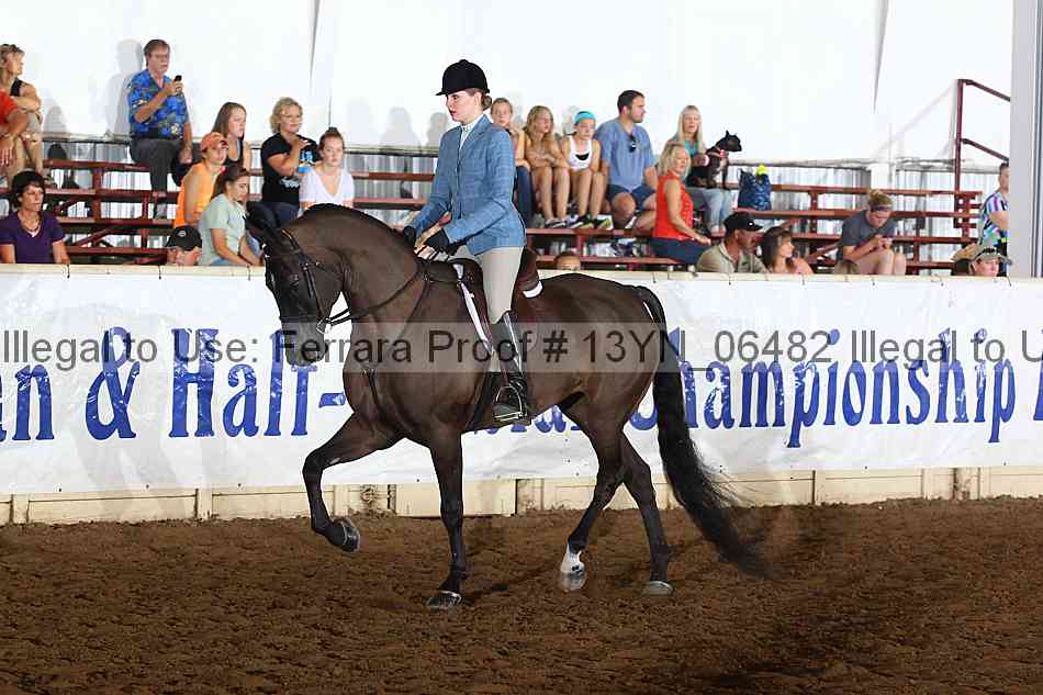 Proof 13yn_06482