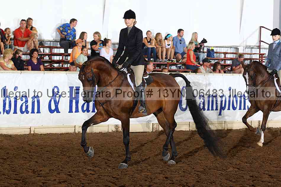 Proof 13yn_06483