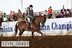 13yn_06491 proof