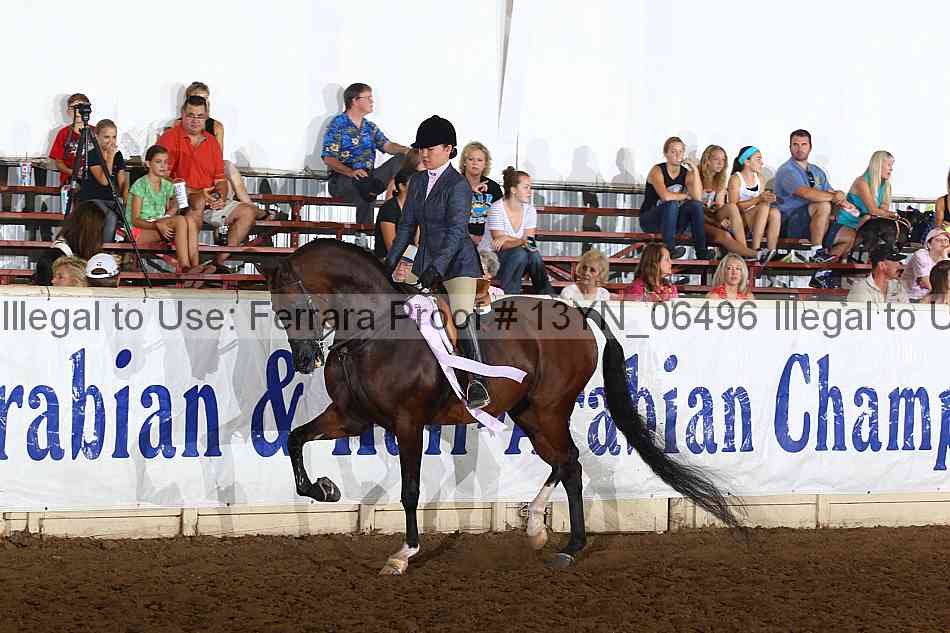 Proof 13yn_06496