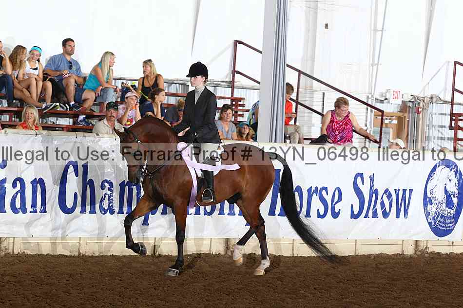Proof 13yn_06498
