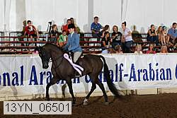 13yn_06501 proof