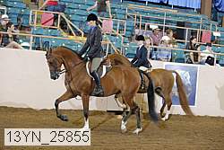 13yn_25855 proof