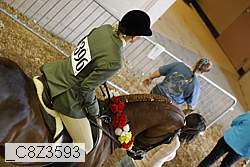 _c8z3593 proof