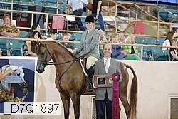 _d7q1897 proof