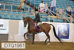 _d7q1961 proof