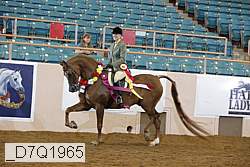 _d7q1965 proof