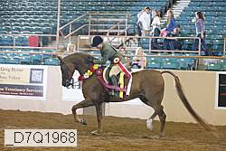 _d7q1968 proof
