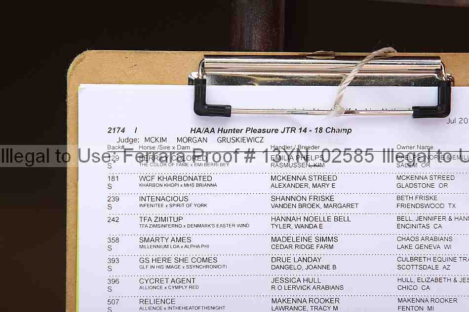 Proof 13yn_02585